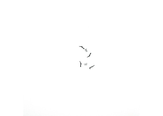 Scheibenwischer li.+re., Ends