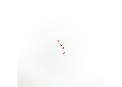 Signalhorn rot 4 St