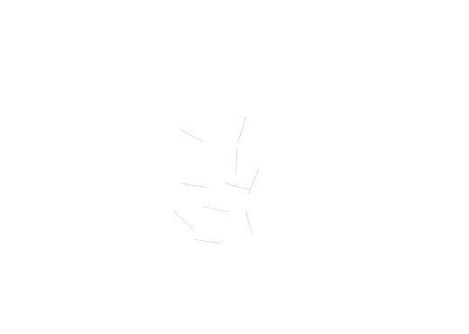 Federstab 0,12X15 (10 St)
