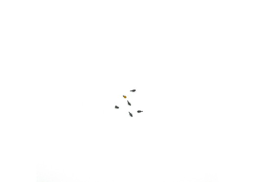 Steckdosen