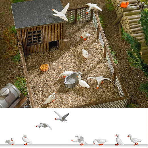 Hausgänse