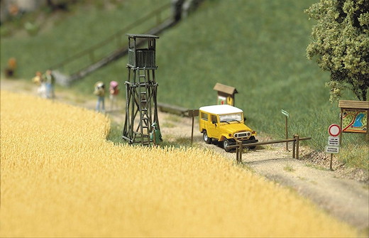 Weizenfeld