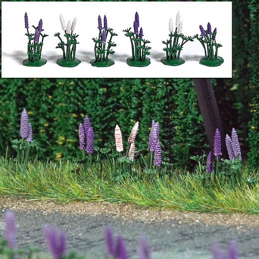 Wild-Lupinen