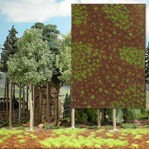 Groundcover-Bodendecker: Sommerlicher Waldboden