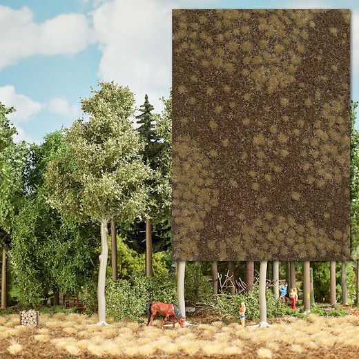 Groundcover-Bodendecker: Trockener Waldboden