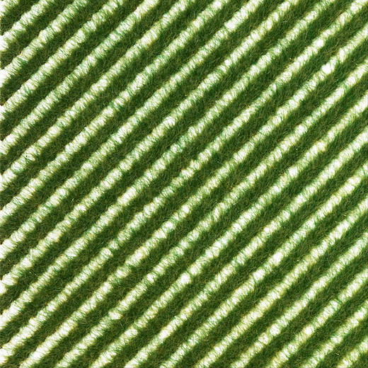 Grasstreifen »Sommer«