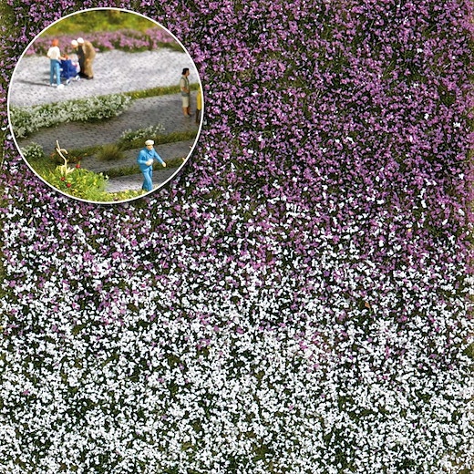 Blütenbüschel Spätsommer