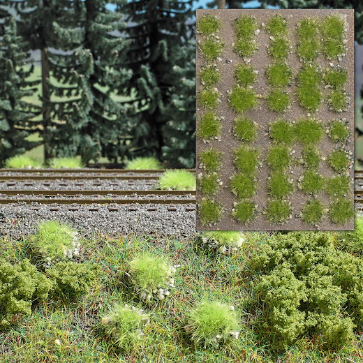 Grasbüschel mit Steinen Frühling