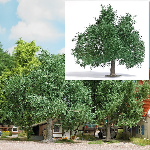Obstbaum/kleine Eiche 95 mm, Sommer