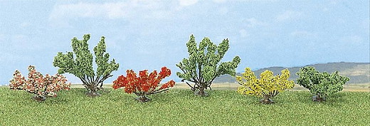 6 Büsche