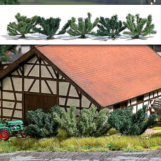 5 Sommerbüsche