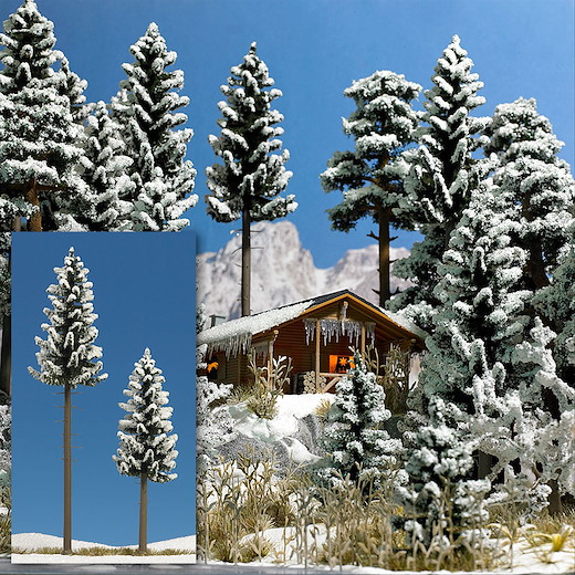 2 verschneite Hochstammfichten
