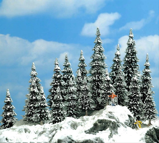 20 Schneetannen