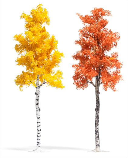 Platane und Birke Herbstbraun