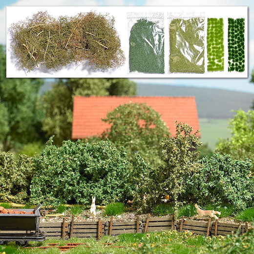 Pflanz-Set für Waldrand, Unterholz oder Böschung