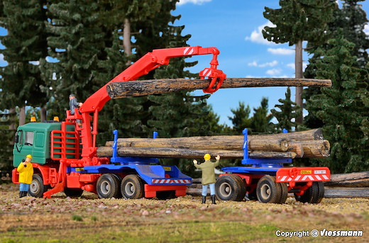 H0 DOLL Langholzaufbau mit Nachläufer