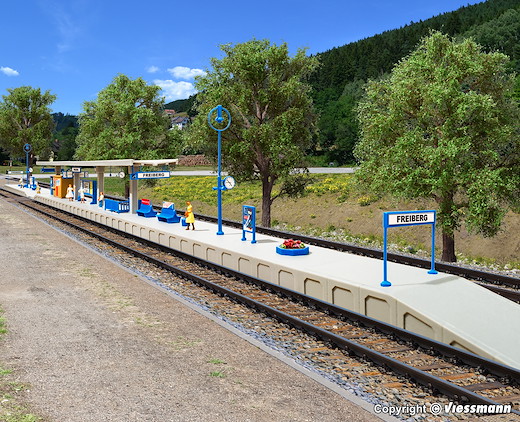 N Bahnsteig Freiberg
