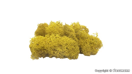 Moos gelb, 40 g
