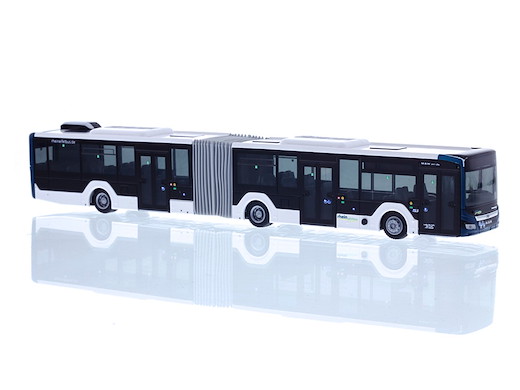 MAN Lion´s City 18´18 Rheineifelbus